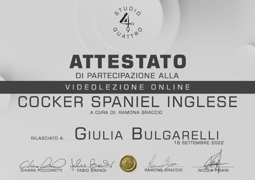 dog toelettatura
