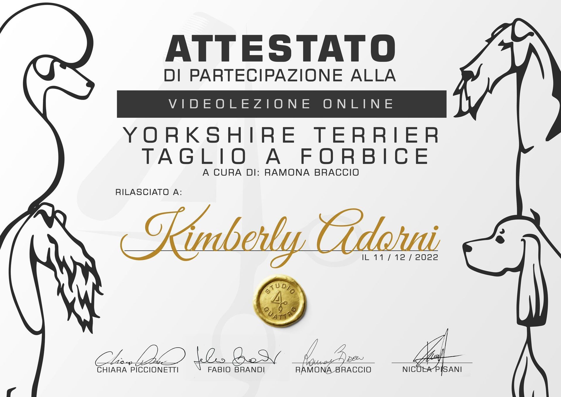 dog toelettatura