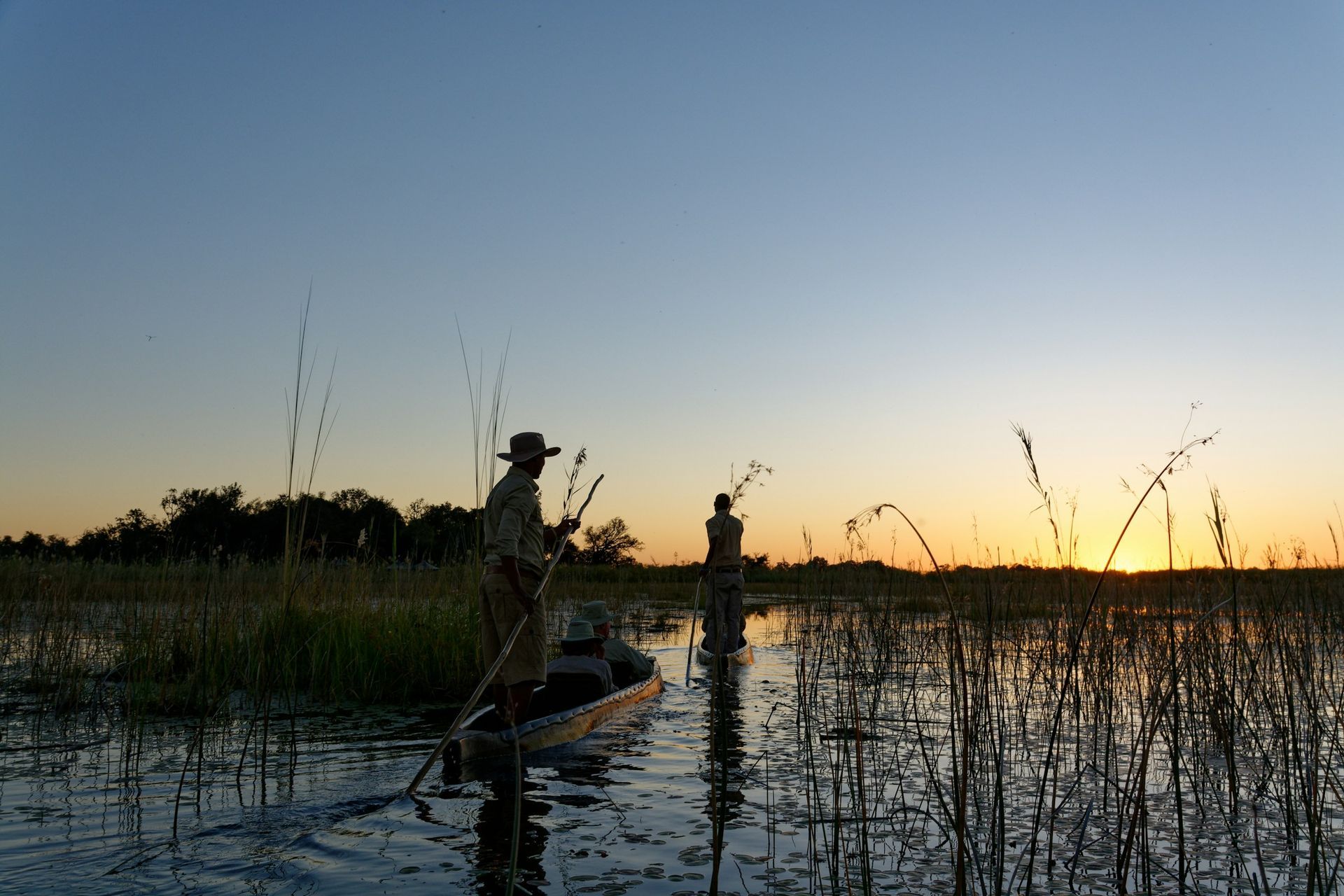 Person on a mokoro at sunset with reeds silhouetted in the foreground