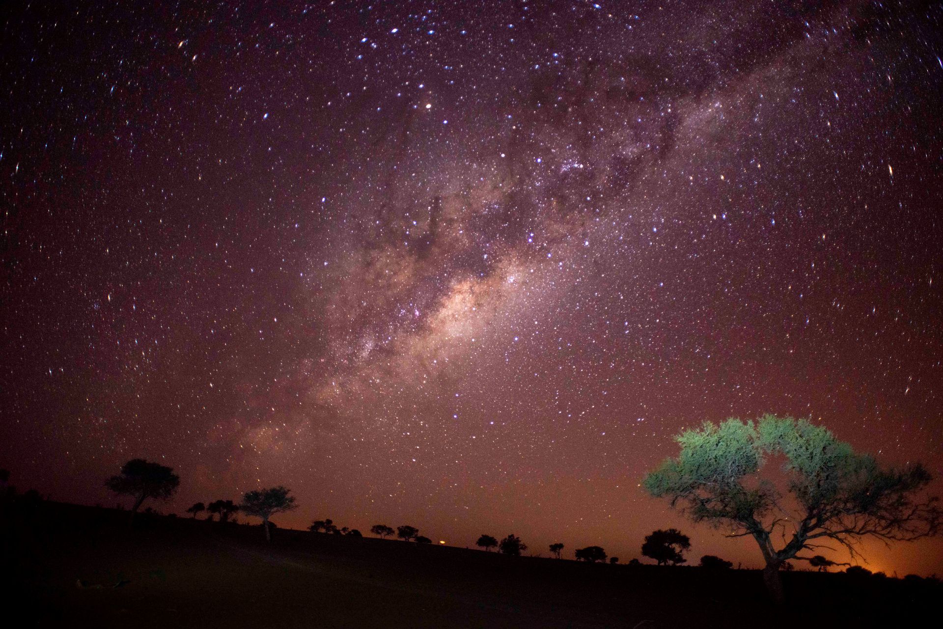 A dark landscape featuring sparse trees under a vibrant, star-filled night sky with the glowing Milky Way galaxy.