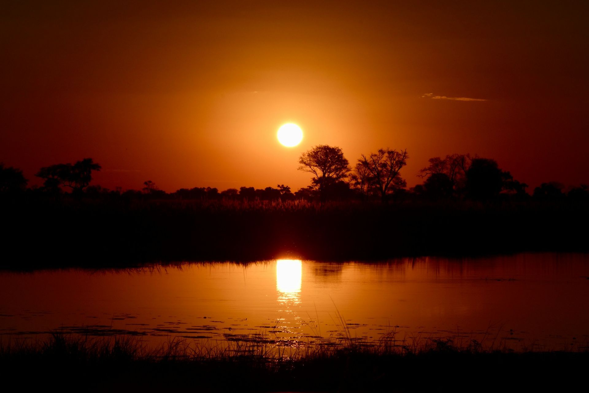 A warm sunset glows over a dark, silhouetted landscape with trees and a reflective pond in the foreground.