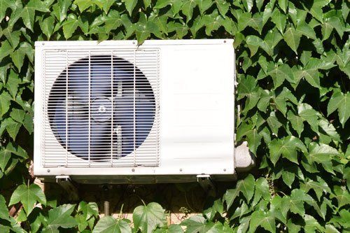 AC On Wall Covered With Ivy