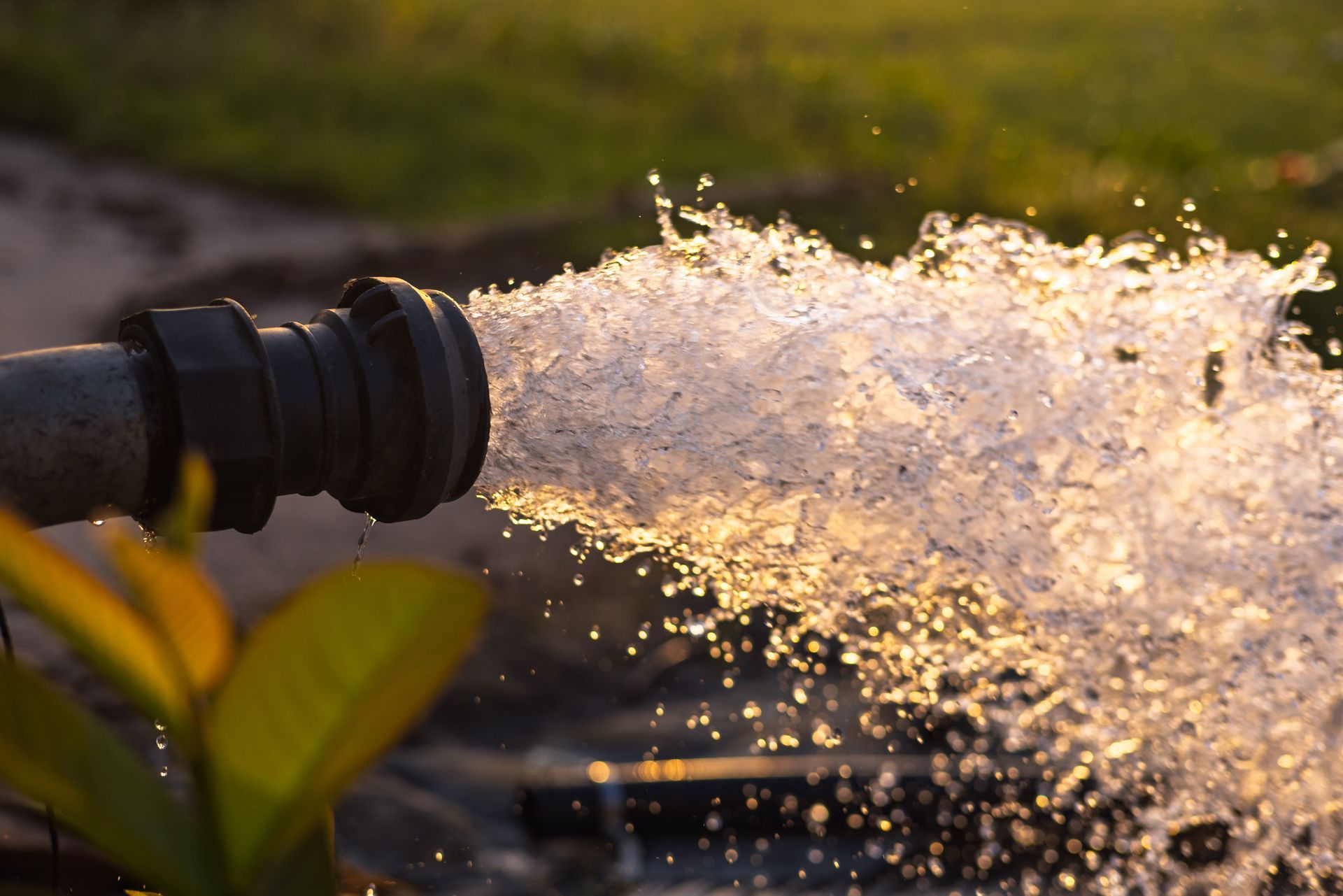 A strong stream of water erupts from a well pump pipe, under the light of the sunset.