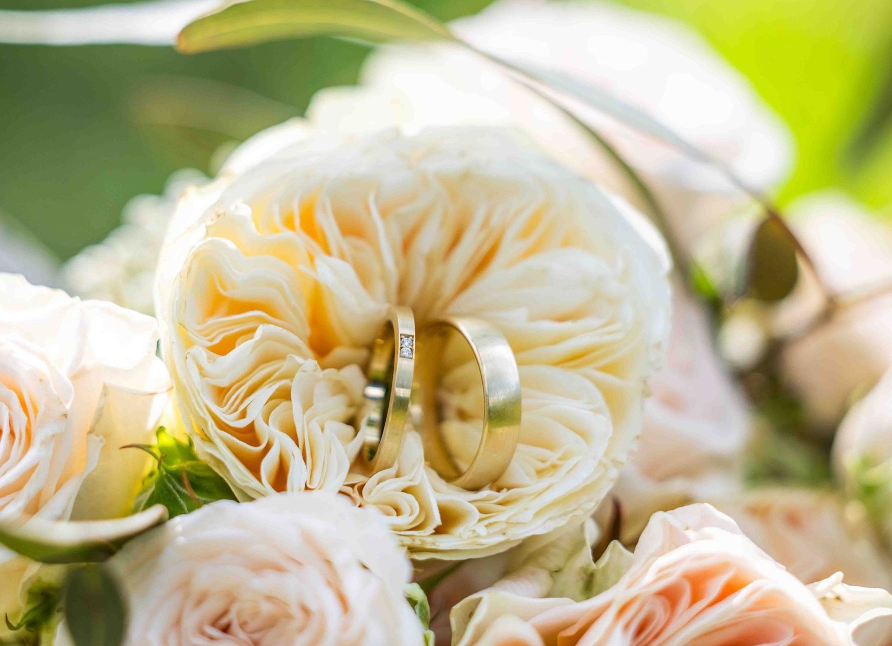 Trouwringen rusten in een witte roos, omringd door andere roze en witte bloemen.