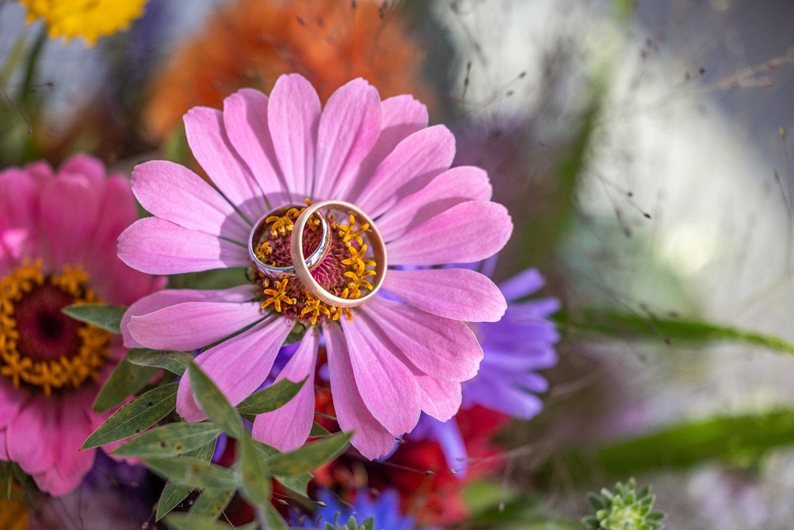 Trouwringen rusten op roze bloemen in een kleurrijk boeket.