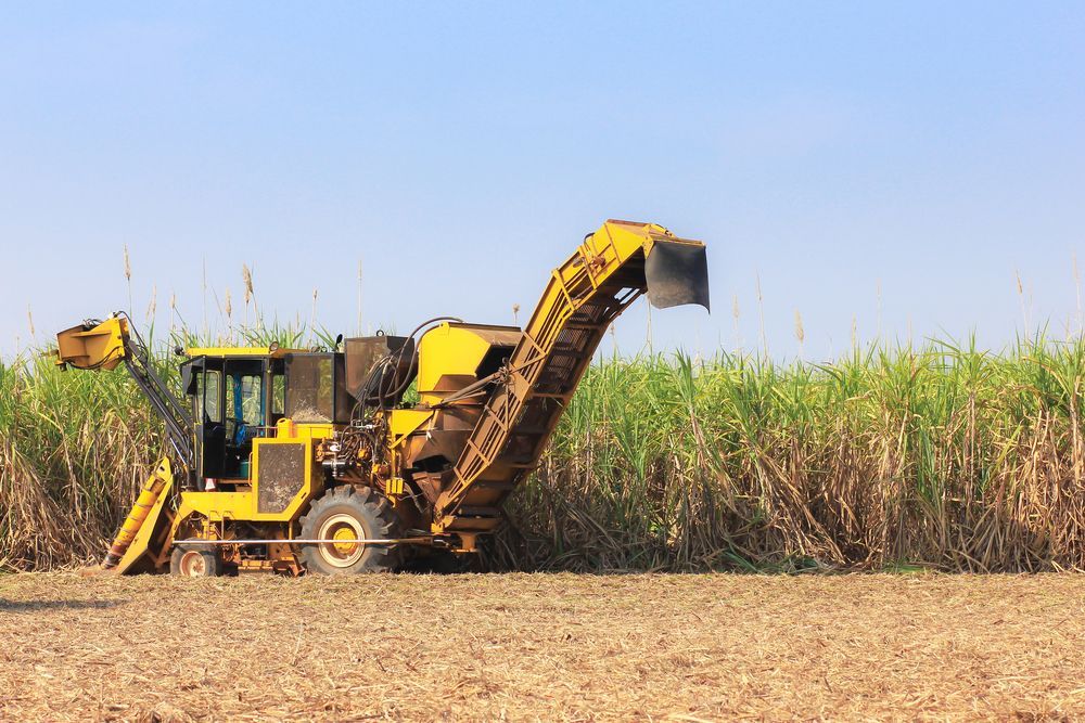 Yellow Sugarcane Harvester in a Field —North Queensland Hard Facing (NQHF) In Fredericksfield, QLD