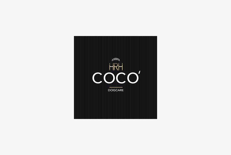 logo design, creazione logo