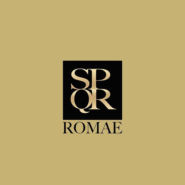 Grafico freelance, logo design, web design 