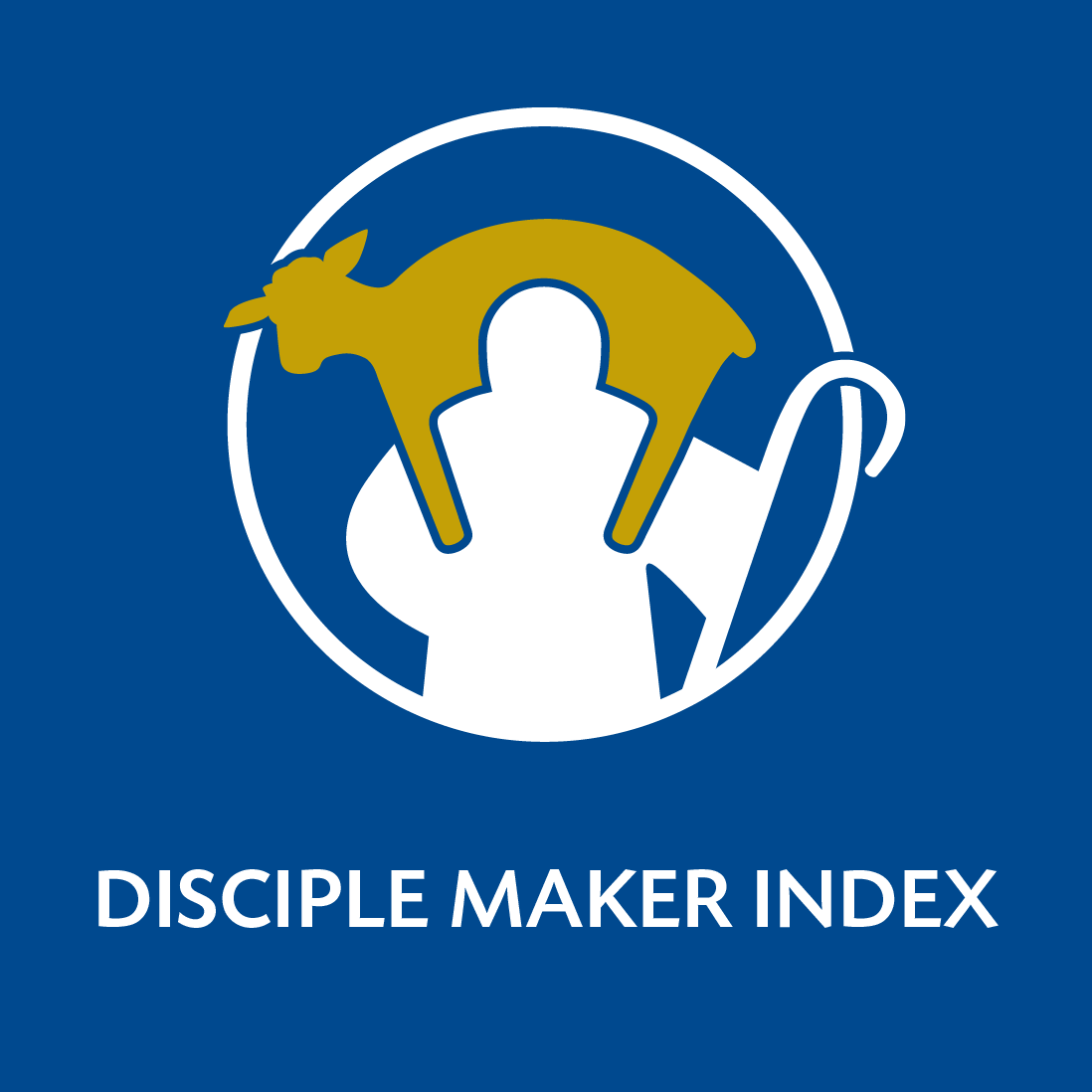 Disciple Maker Index Survey