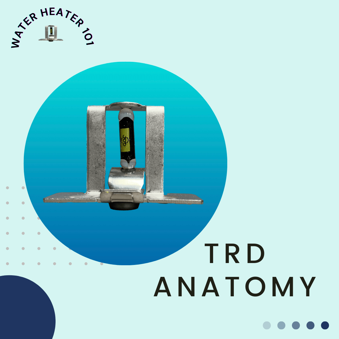 TRD Anatomy Infographic Header with an image of a TRD