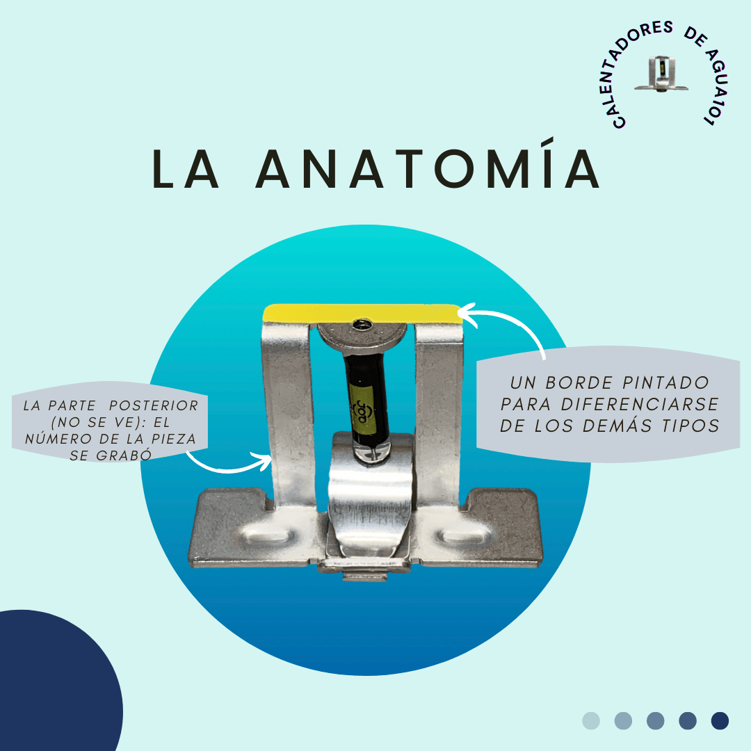 la anatomía de un TRD con una vista posterior