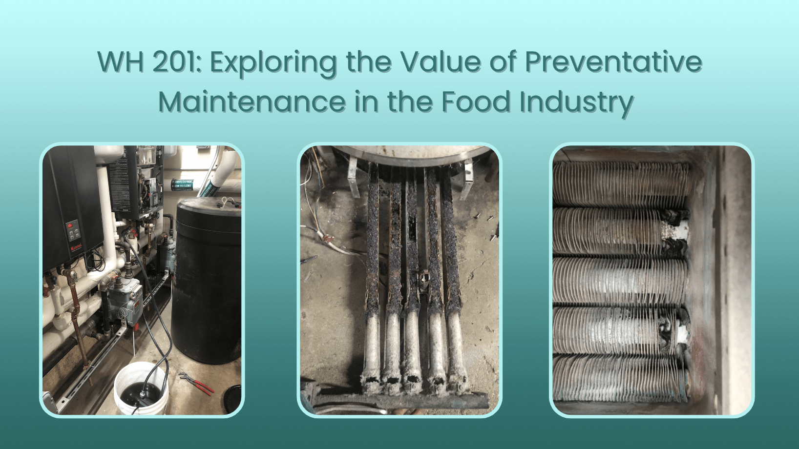Preventative Maintenance Tankless Water Heater, BTR Swordfish Burners, Tankless Heat Exchanger