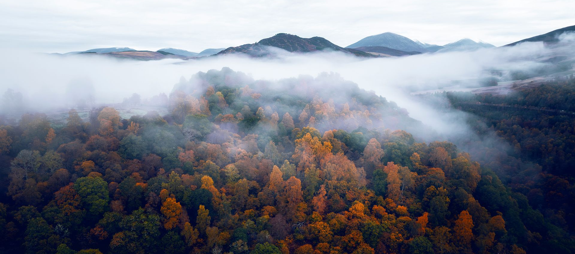 Foggy autumn forest and mountains with colorful fall foliage at sunrise