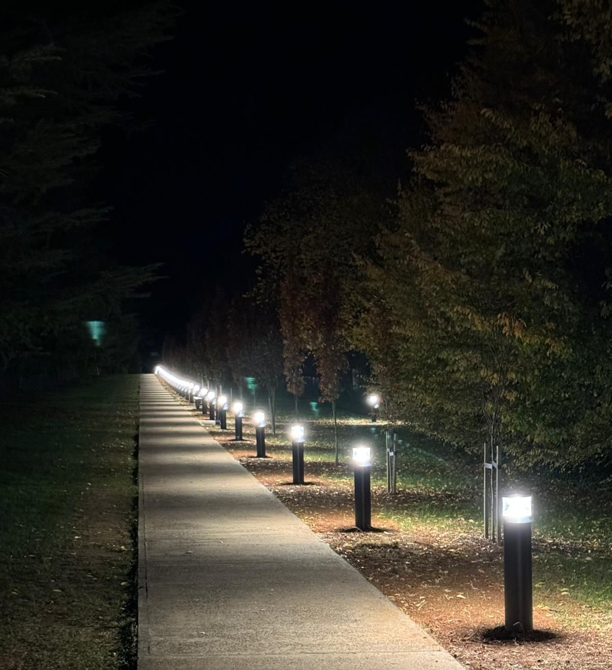 Lit sidewalk at night with rows of small lamps along a park path