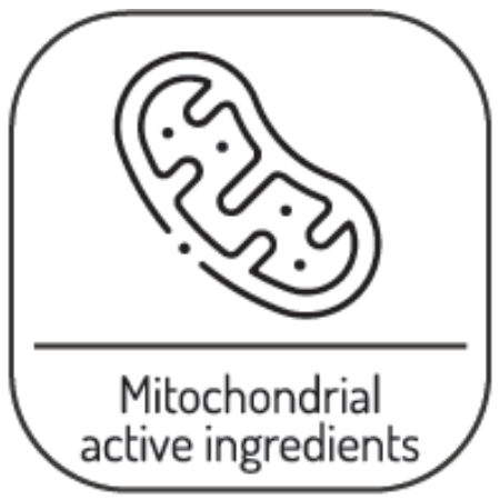 חומרים פעילים