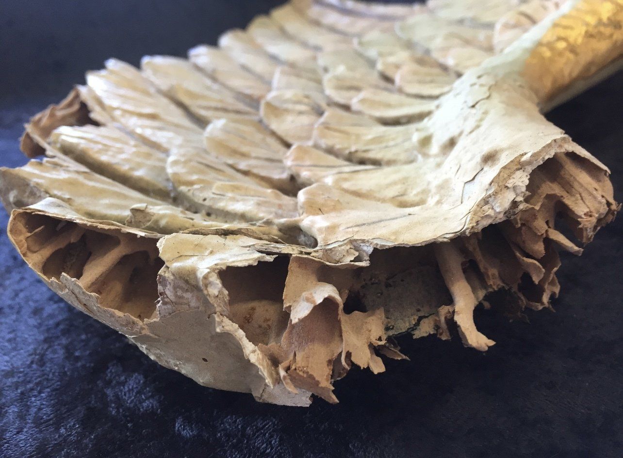 Damaged Ceramic — Tampa, FL — Antique Restoration and Design