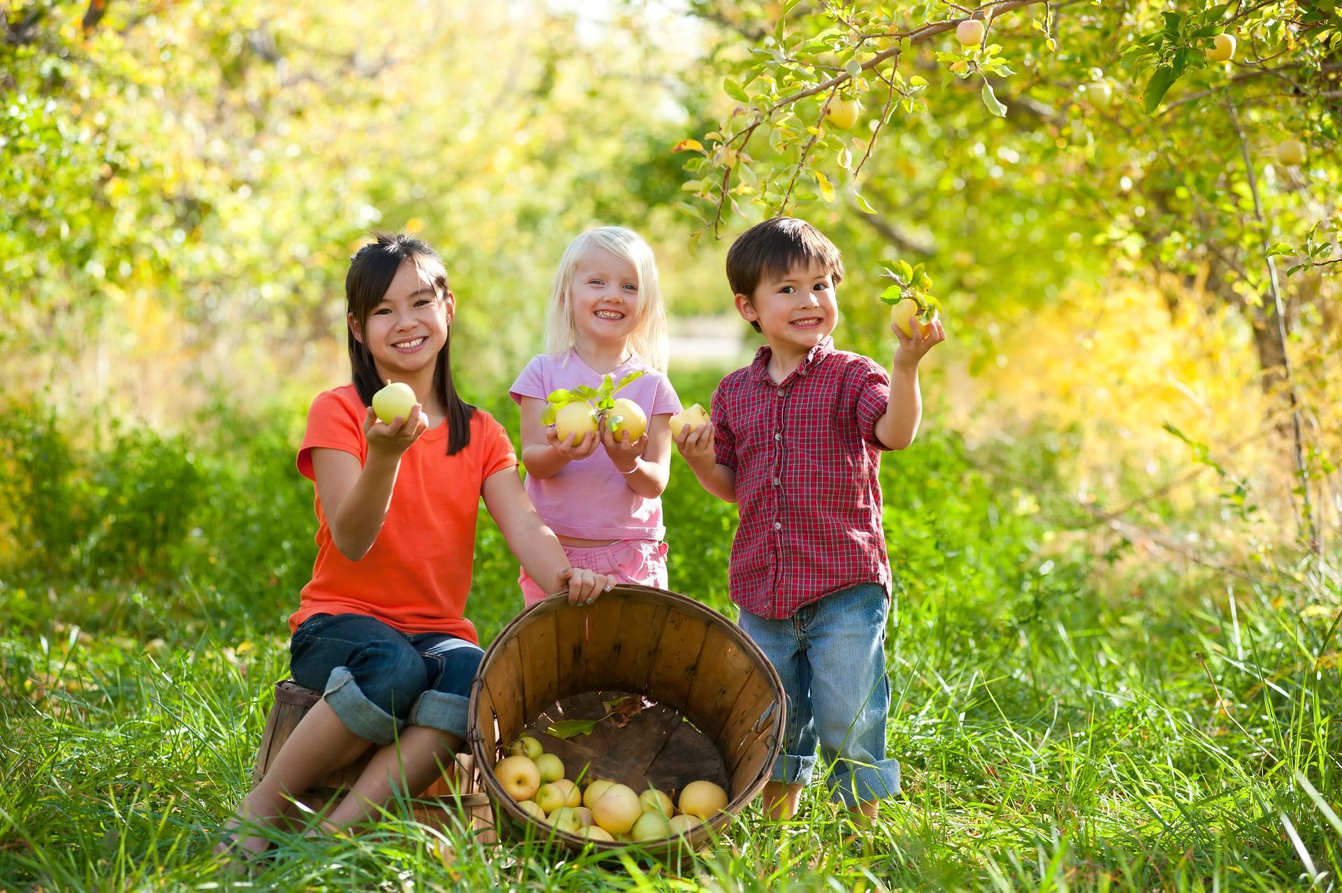 Three children are holding apples in an apple orchard.