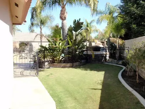 A lush green backyard with palm trees and a fence