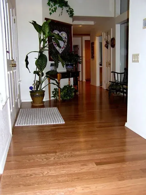 A hallway with hardwood floors and a rug on the floor