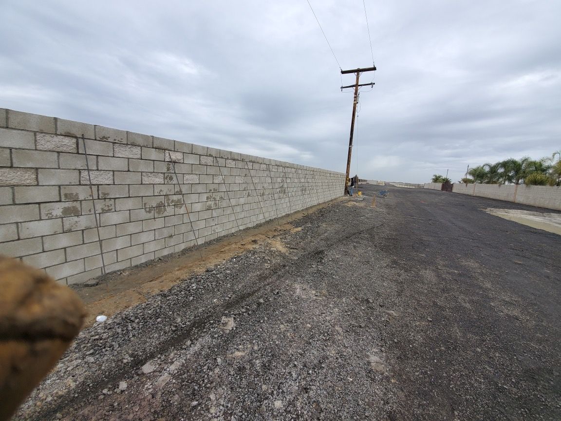 A dog is standing next to a brick wall on the side of a road.