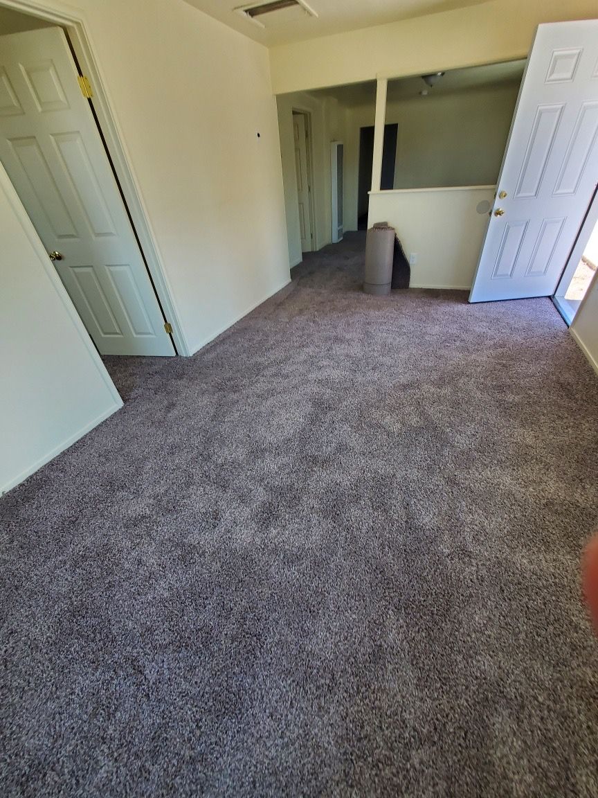 A living room with a carpeted floor and two doors.