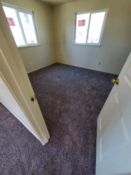 An empty bedroom with a purple carpet and two windows.