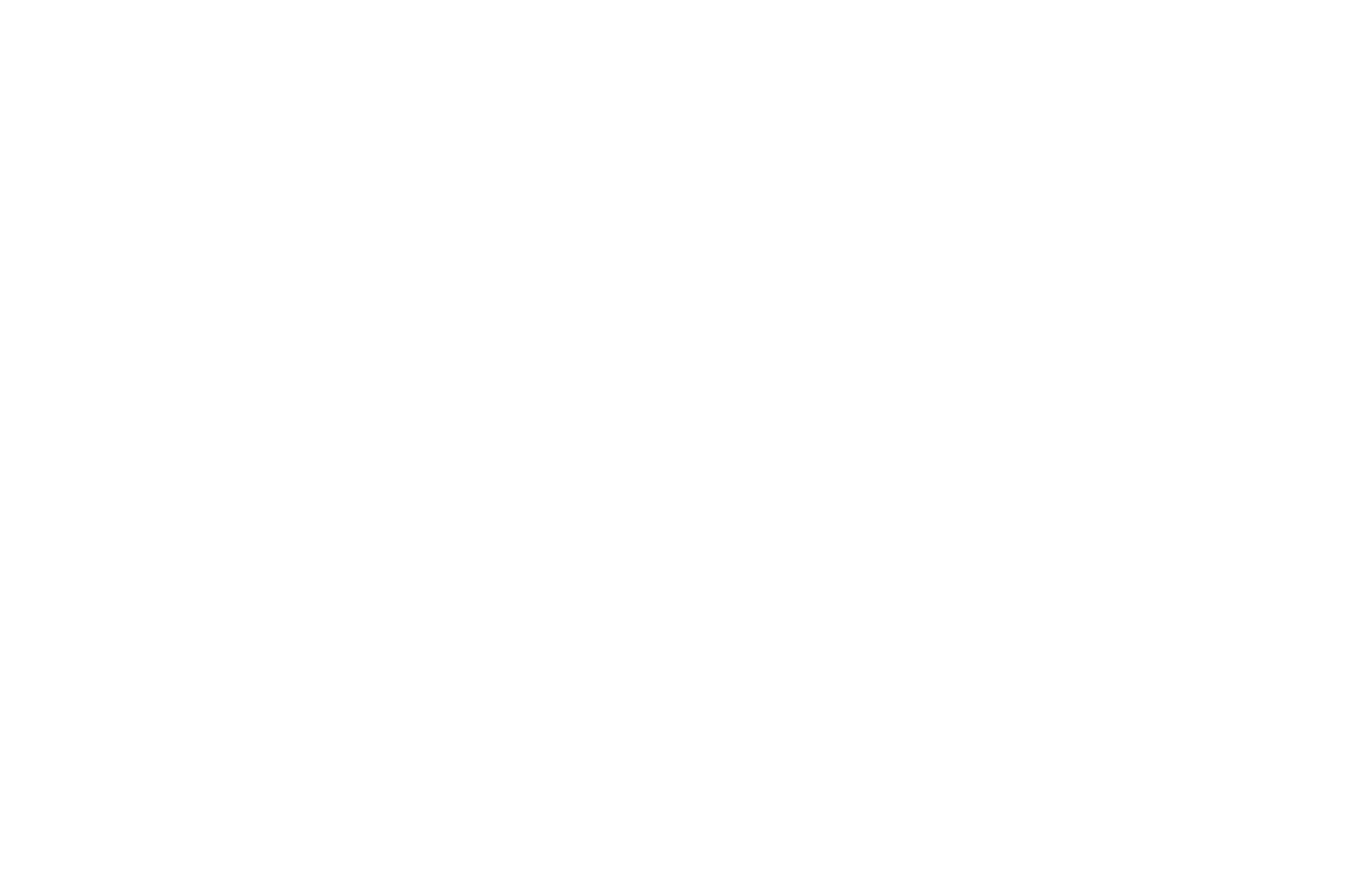 Sue Ann Logo