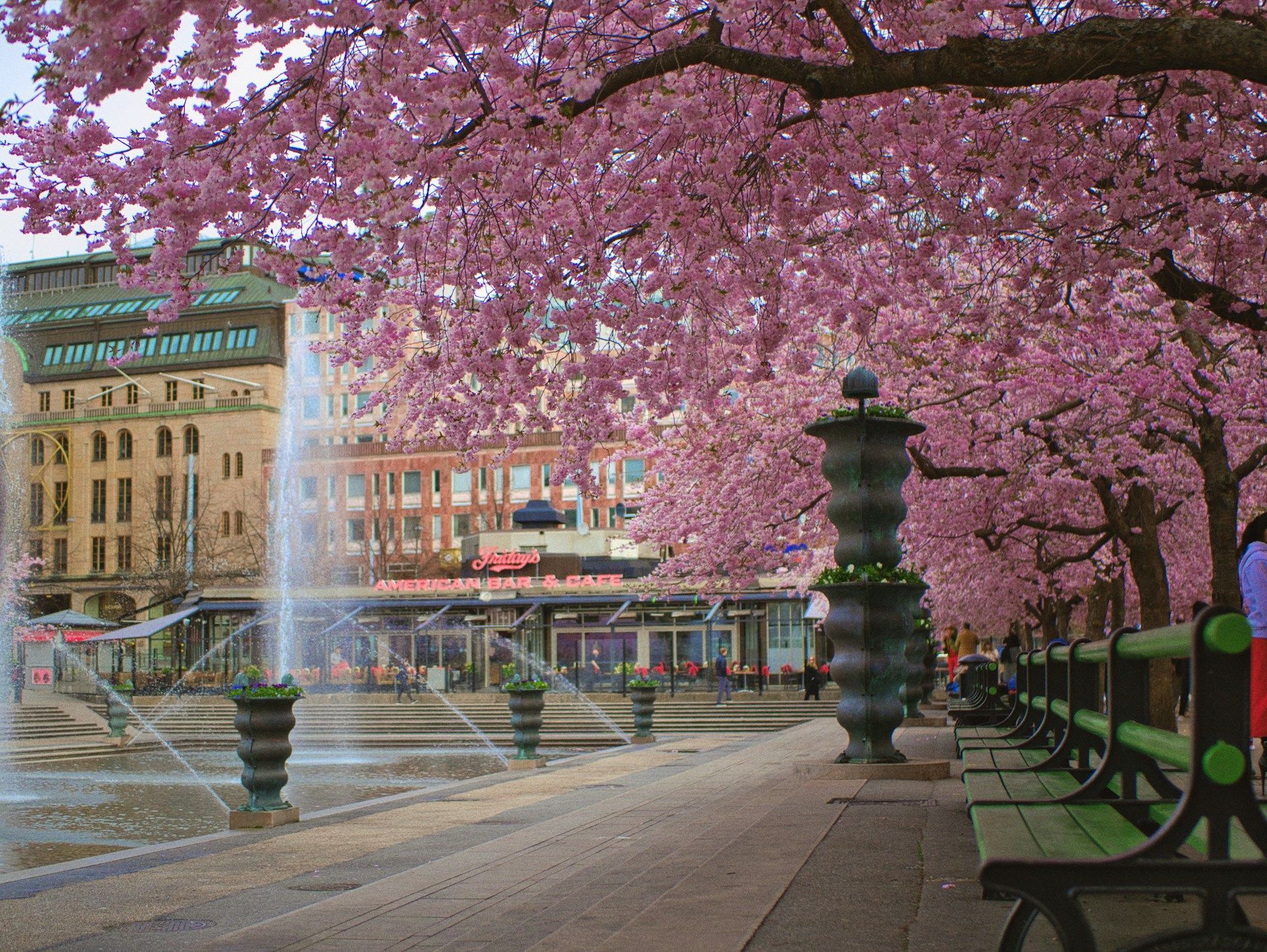 What To See In Stockholm In Spring — insider guide to Stockholm