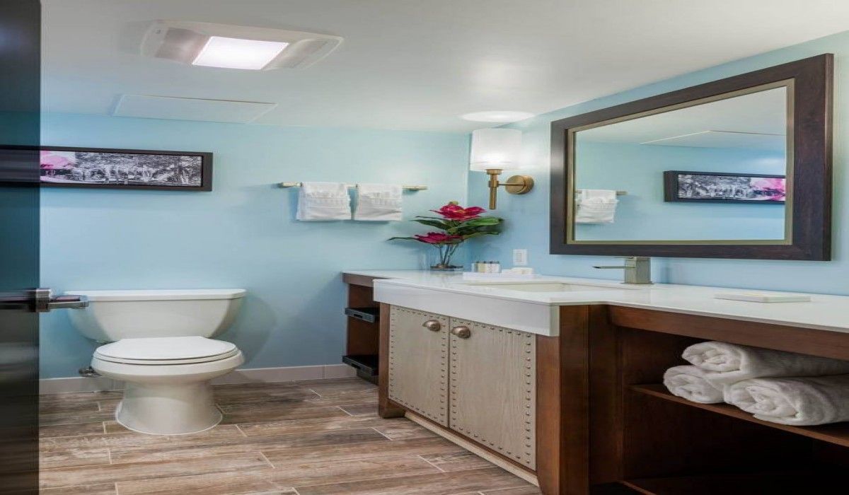 Bright bathroom with light blue walls, white toilet, wood vanity, and large mirror.