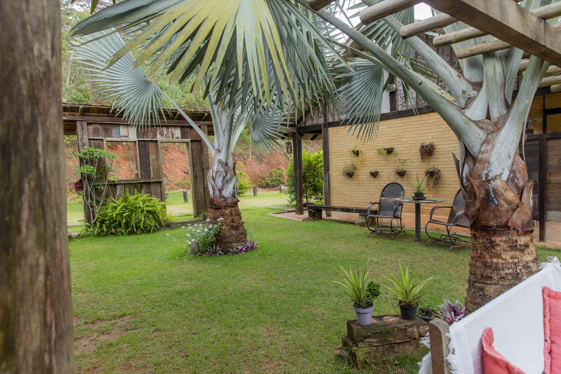 Jardim exuberante nos fundos da casa com palmeiras, gramado verde, móveis de jardim e uma parede de tijolos ao fundo.