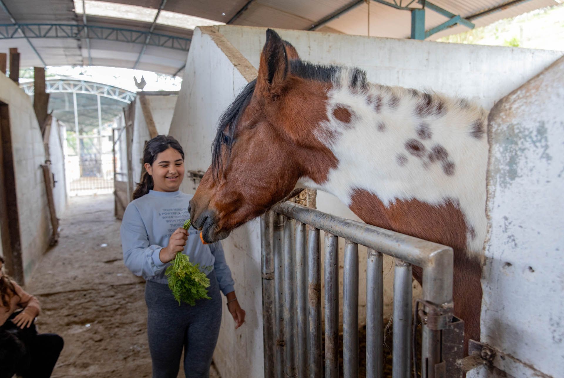 Pessoa alimentando um cavalo marrom e branco no corredor de um estábulo.