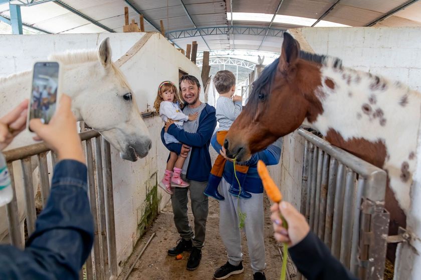 Pessoas acariciando dois cavalos em um estábulo, um branco e outro marrom com manchas, enquanto alguém tira uma foto.