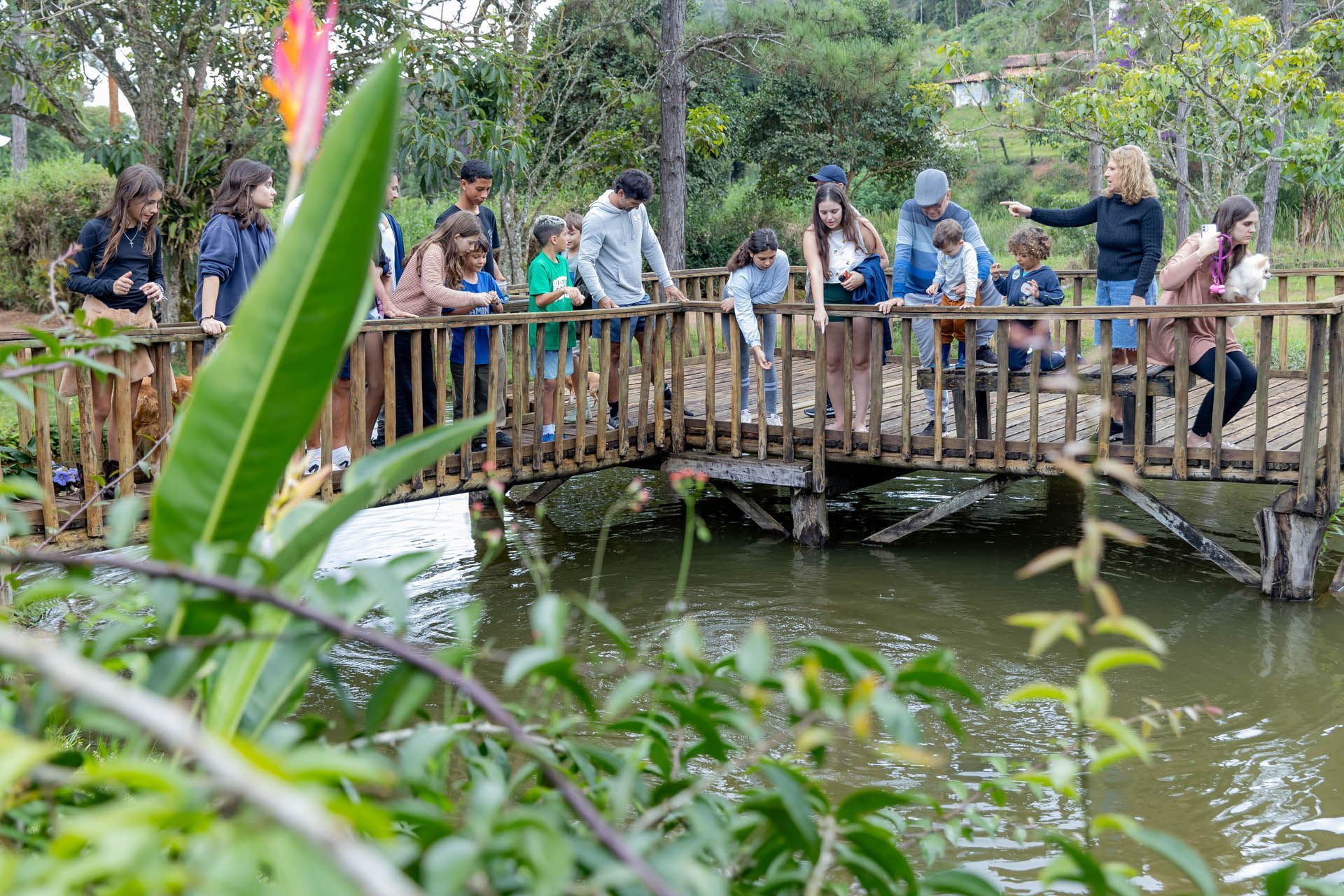Pessoas caminhando sobre uma ponte de madeira sobre um lago em um jardim exuberante.