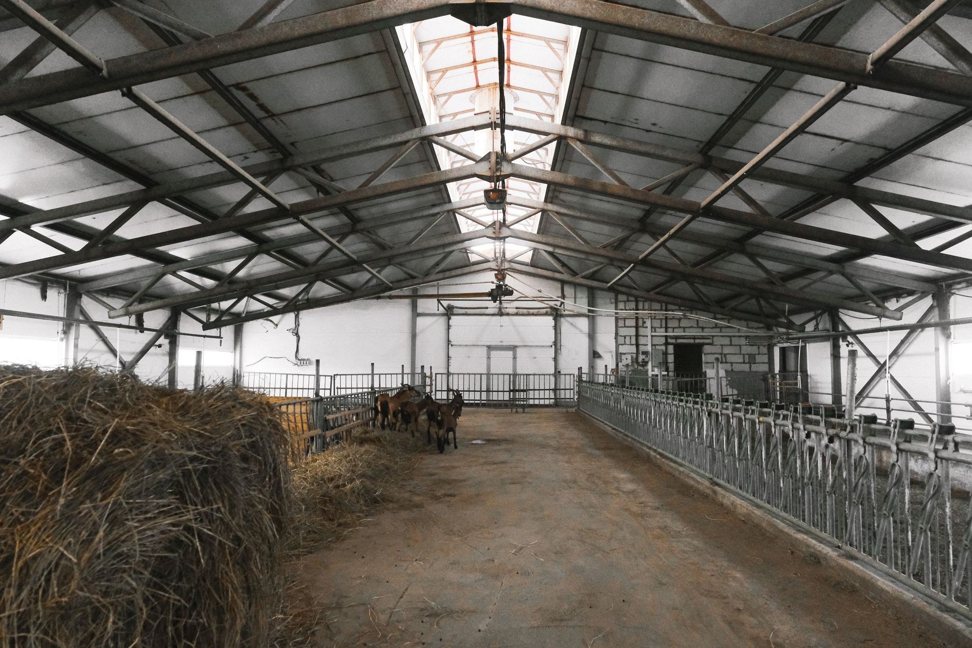 Steel-frame building interior with skylight panels and high trusses