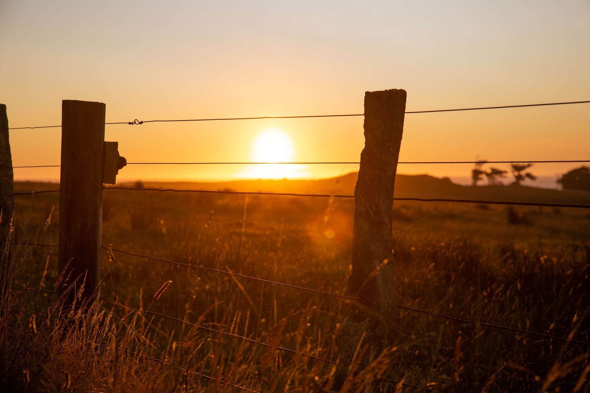 Weathered fence posts and wire against a setting sun in an open pasture