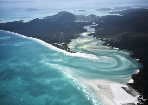 Whitsundays - Wings - Mad Monkey