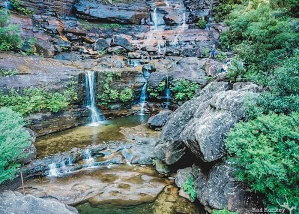 Blue Mountains - Coast Warriors - Mad Monkey