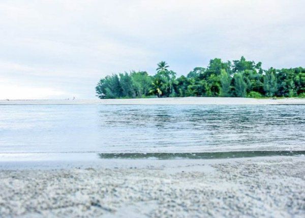 Cape Tribulation with Uncle Brians - Mad Monkey
