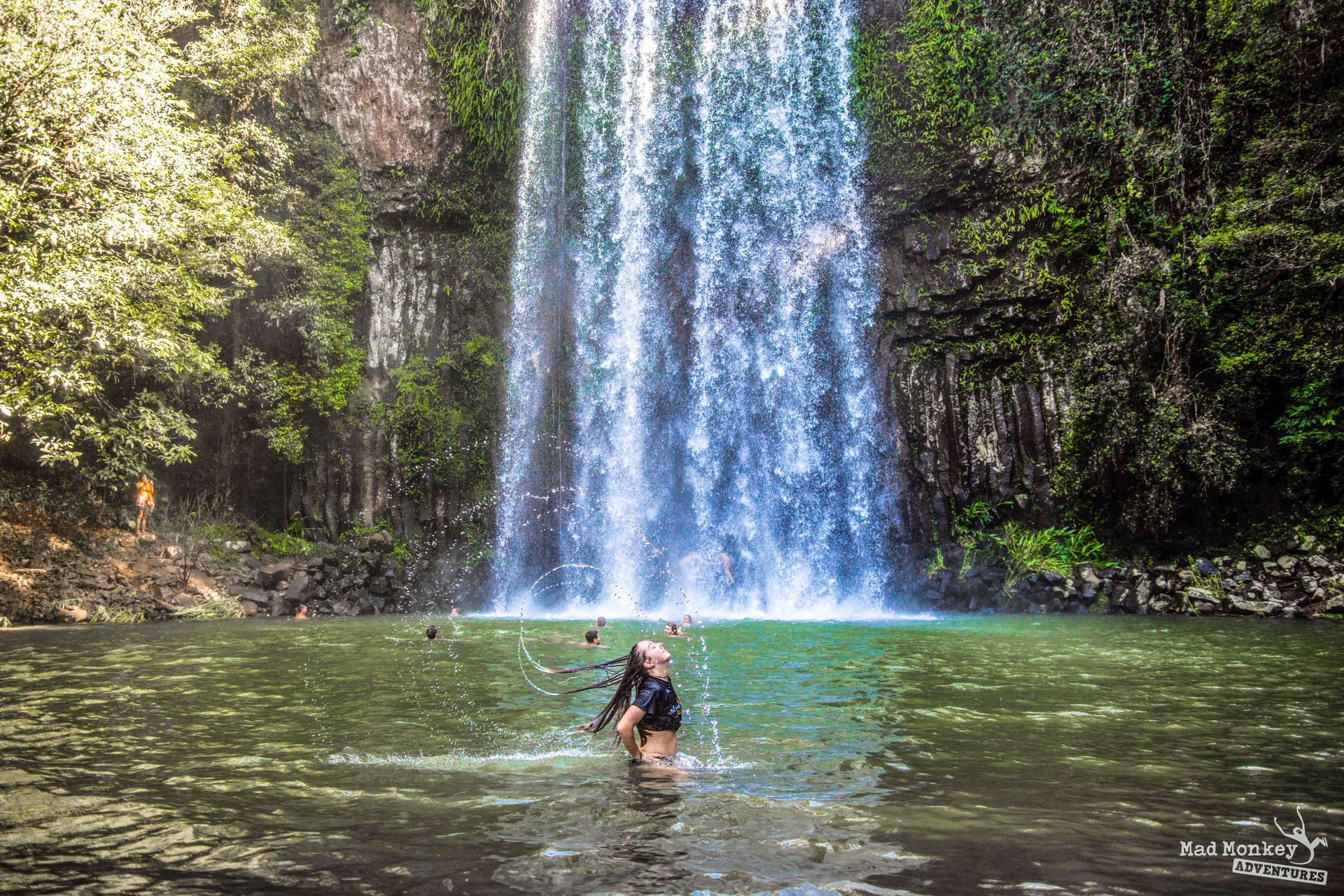 A Unique Way Of Exploring The Rainforest In Cairns