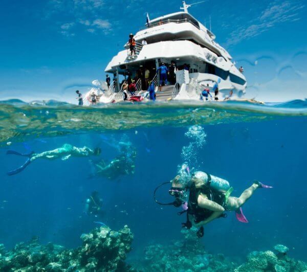 Great Barrier Reef Trip - Evolution - Mad Monkey