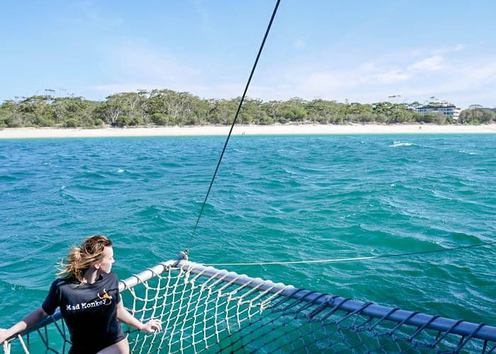 Looking out for dolphins