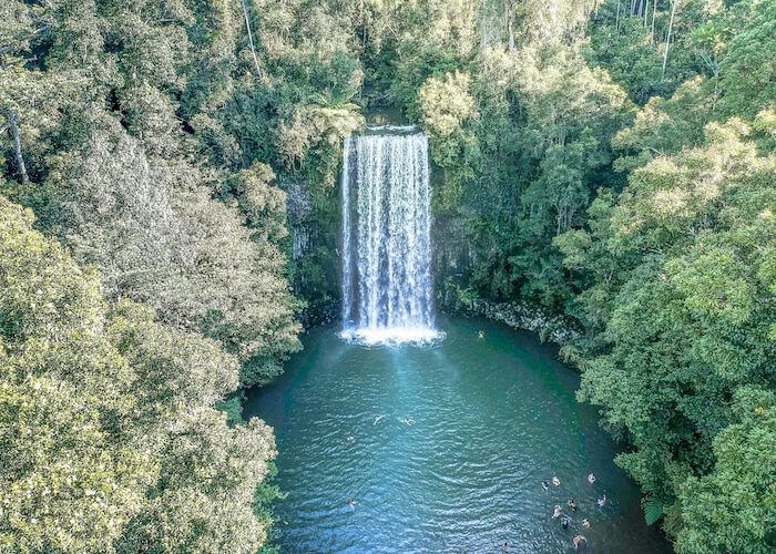 RAINFOREST & FALLS