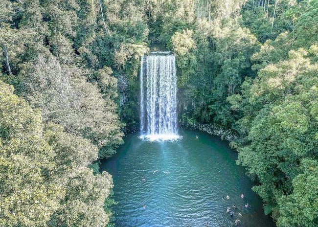 RAINFOREST & FALLS