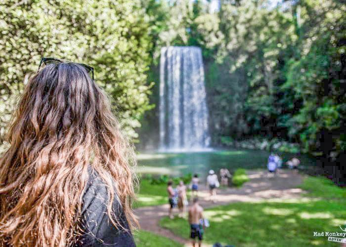 In Awe of Millaa Millaa Falls