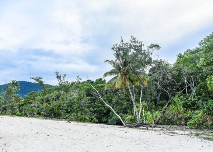 Cape Tribulation Beach