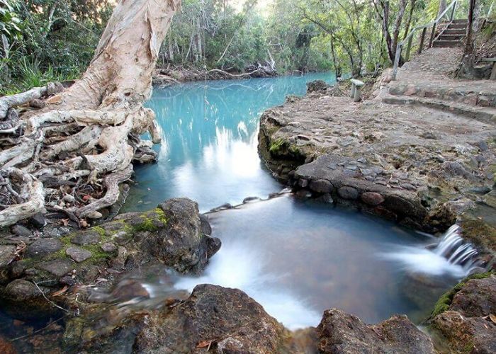 Daintree’s wonders
