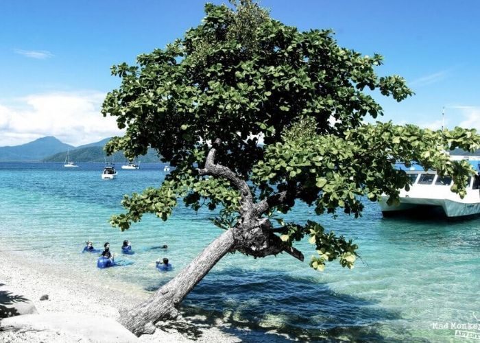 Fitzroy Island Beautiful Scenery