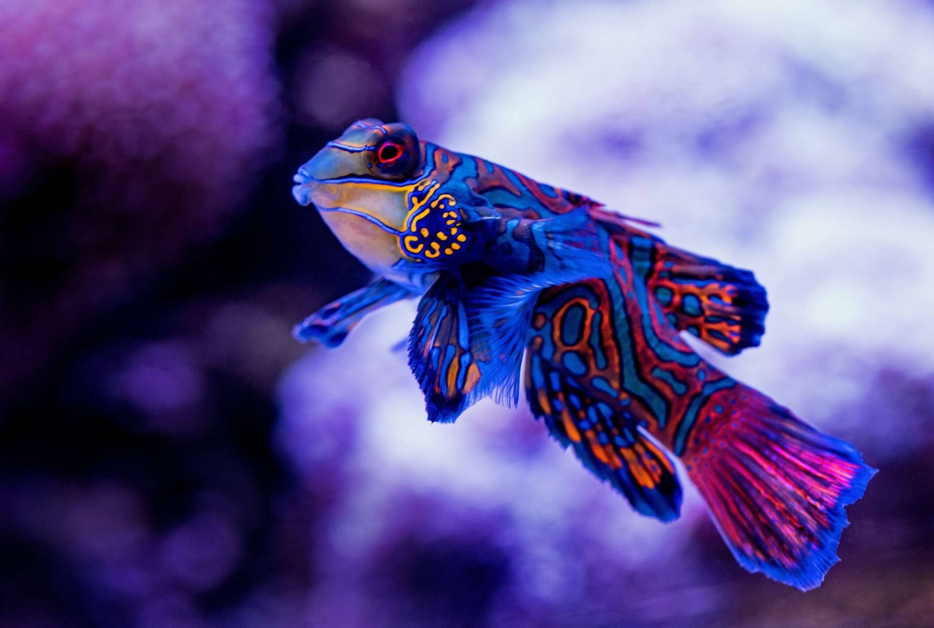 UNUSUAL THINGS TO DO IN CAIRNS