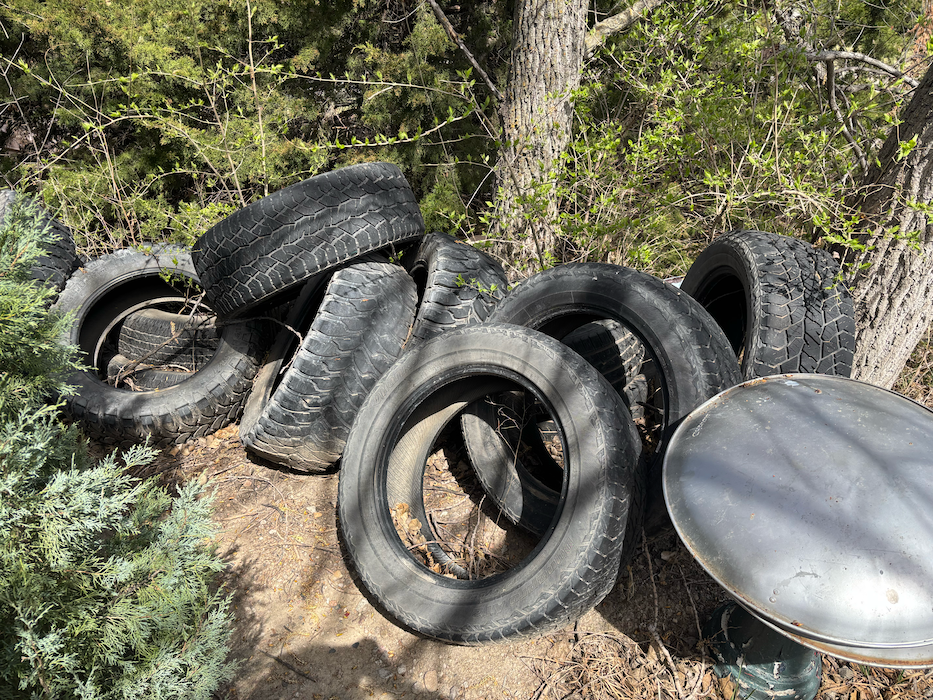 Pile of old tires and a metal lid leaning against a tree in a wooded outdoor area