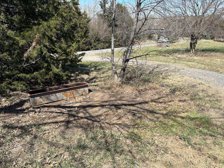 Backyard with a rusty bench, leafless trees, and a winding path in bright sunlight